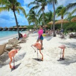 IMG-671baf19f851371a5687a9a98619f7e4-V