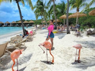 IMG-671baf19f851371a5687a9a98619f7e4-V